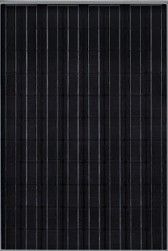 Solar Module Panel